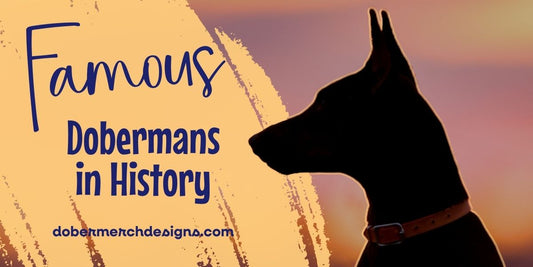 Famous Dobermans in History: Legendary Dogs That Made an Impact