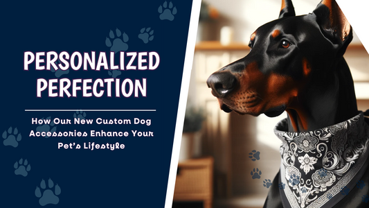 Personalized Perfection - How Our New Custom Dog Accessories Enhance Your Pet’s Lifestyle