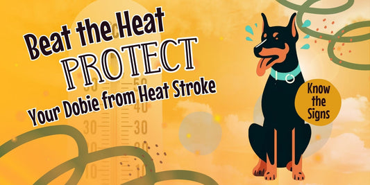 Recognizing and Preventing Heatstroke in Dobermans