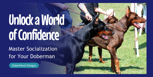 Socialization Tips for Doberman Puppies and Adults: A Comprehensive Guide