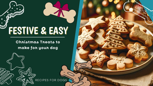 Celebrate the Holidays with These Easy-to-Make Dog-Friendly Christmas Treats