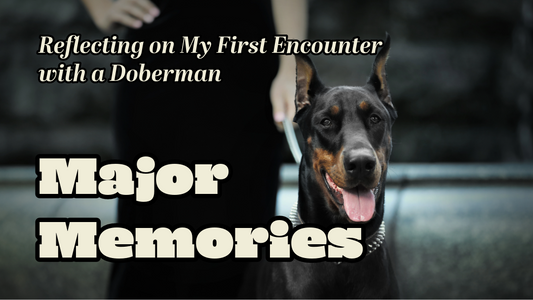 Major Influence: The Doberman Who Started It All