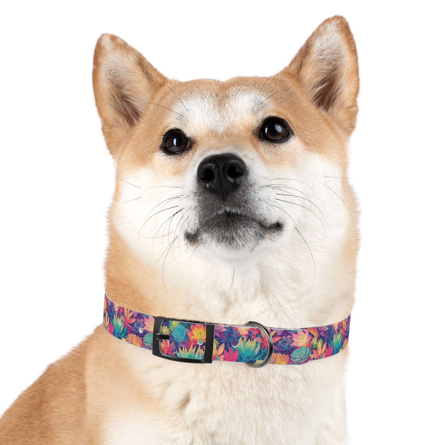 Personalized Pastel Succulents Dog Collar