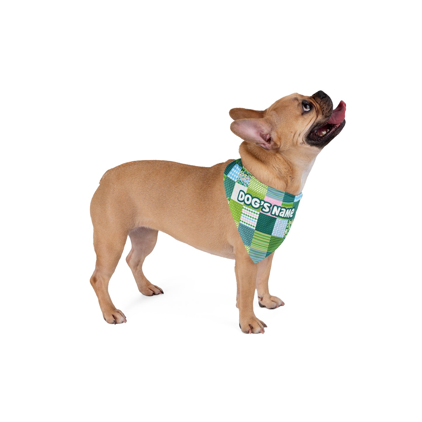 Patchwork Pizzazz Personalized Pet Bandana