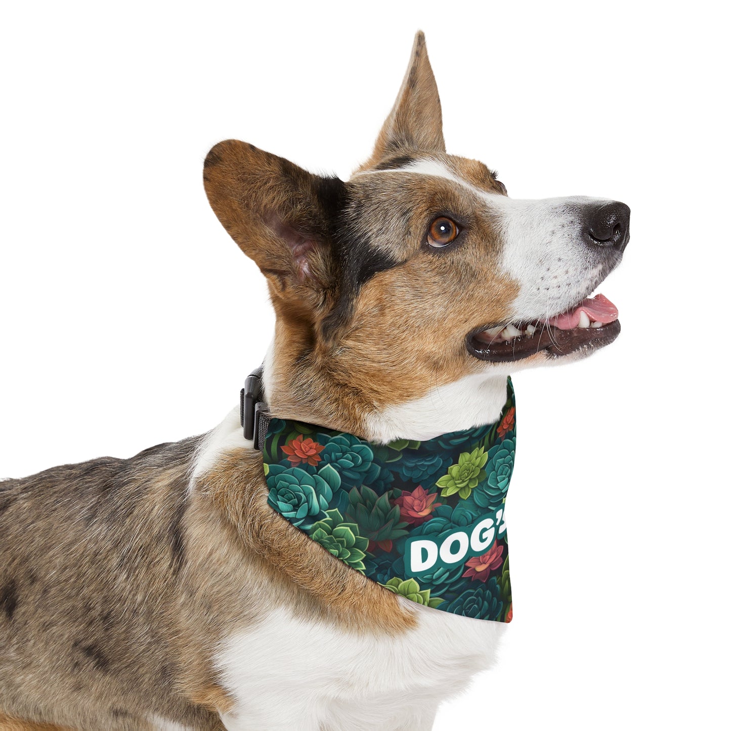 Succulent Oasis Personalized Pet Bandana With Adjustable Collar