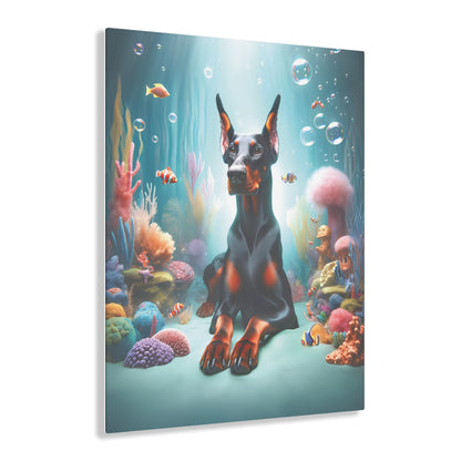 Doberman Oceanic Aura