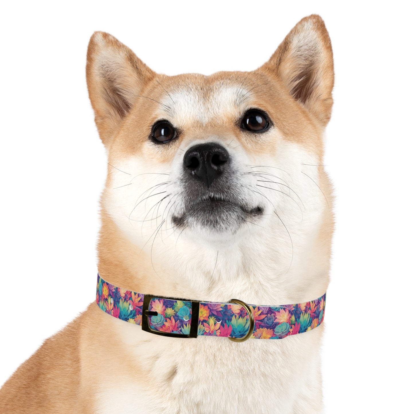 Personalized Pastel Succulents Dog Collar