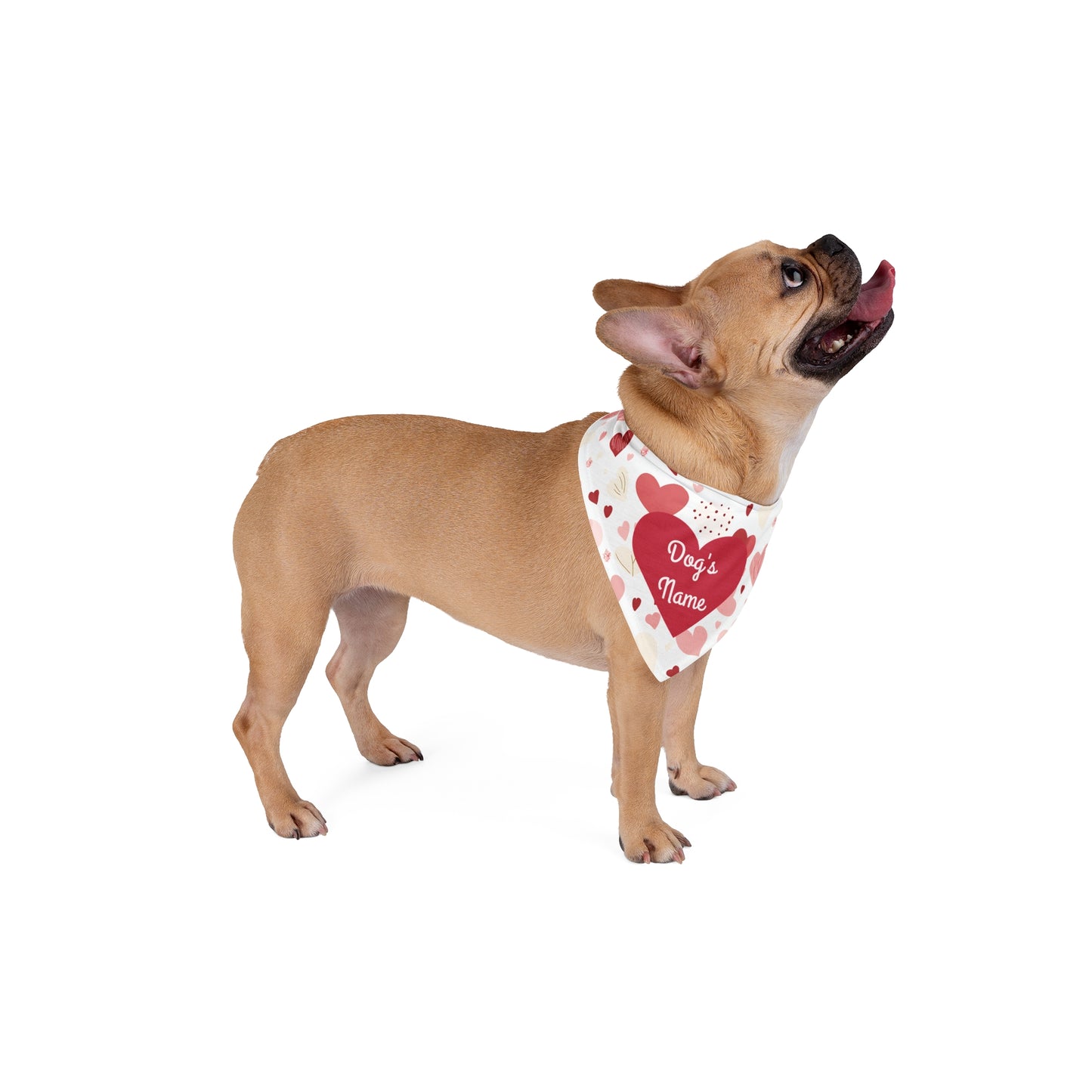 Love Paws Personalized Heart-Themed Dog Bandana