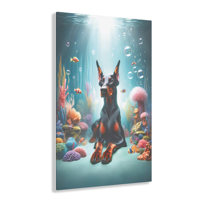 Doberman Oceanic Aura