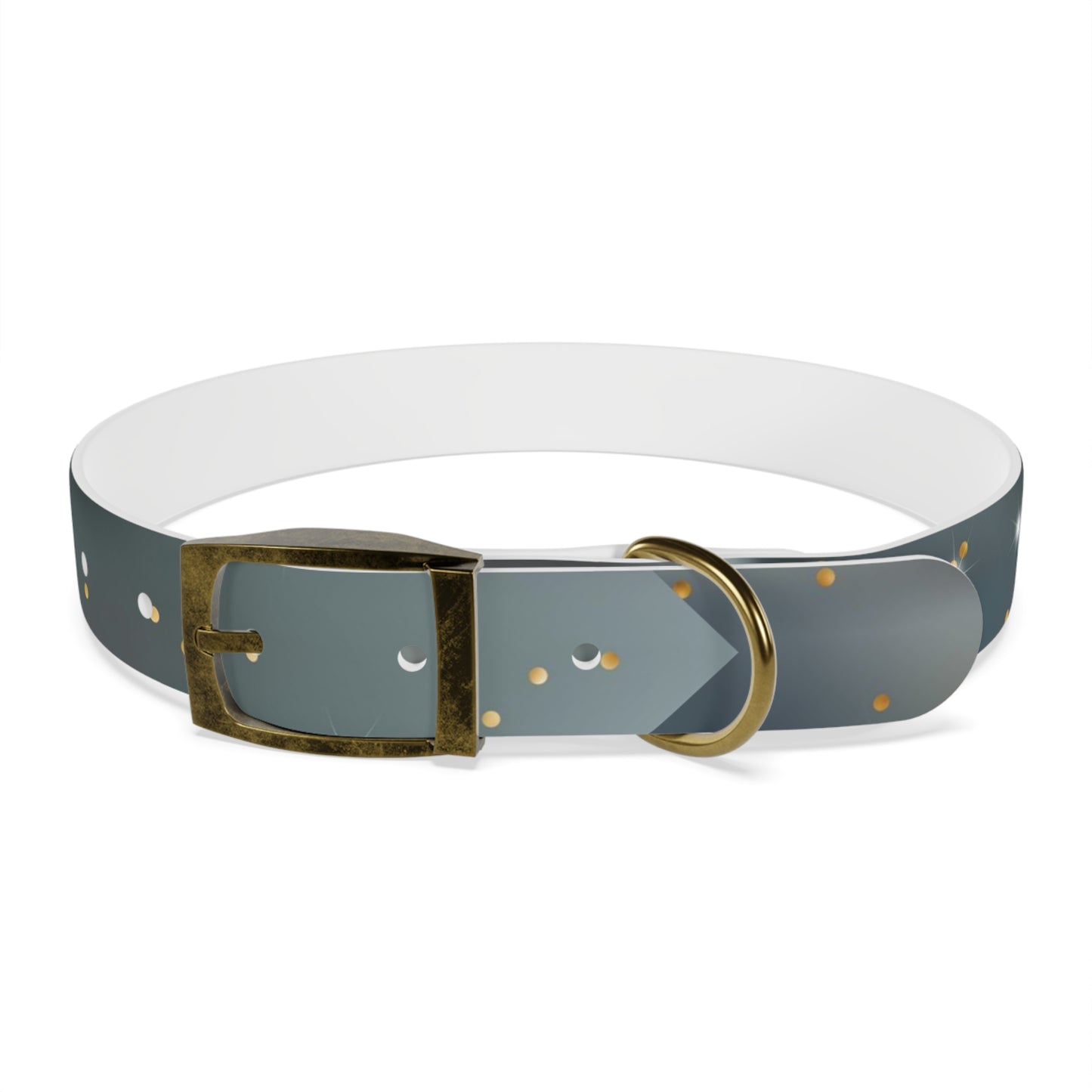 Liquid Metal Personalized Dog Collar