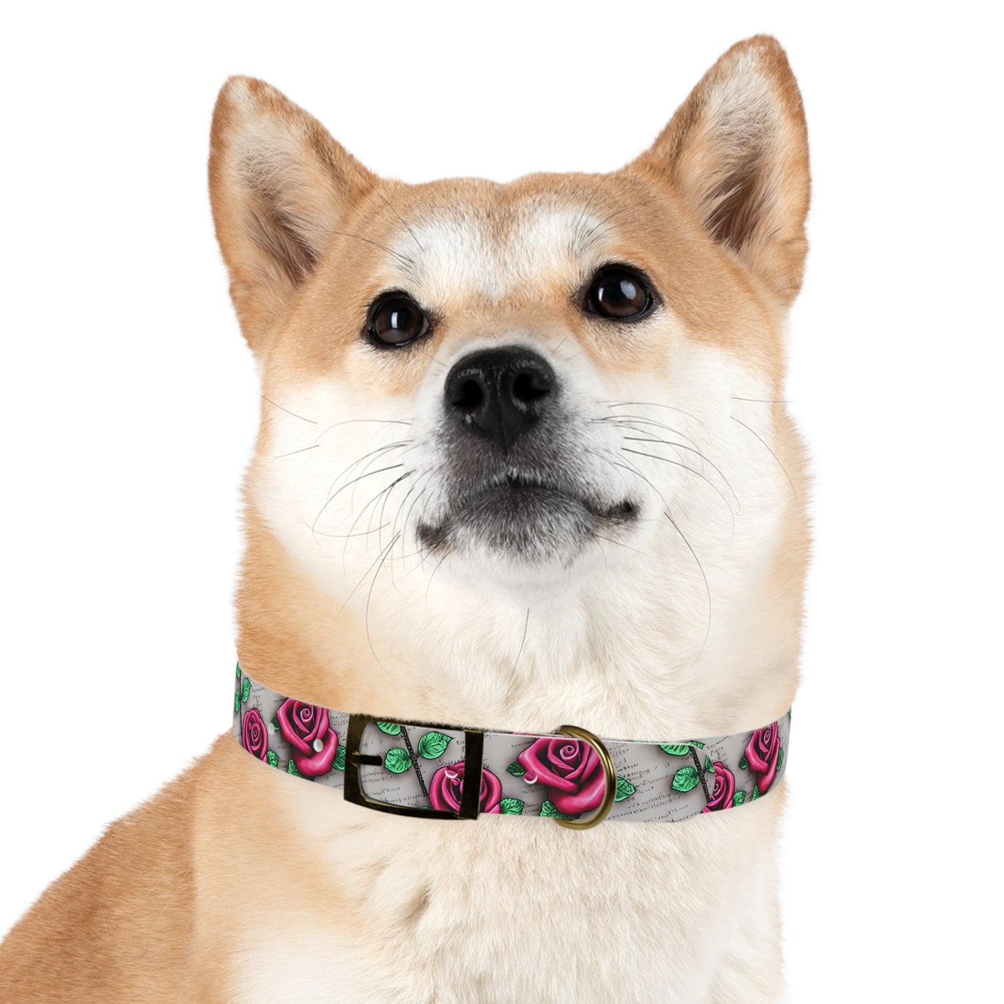 Vintage Roses Personalized Dog Collar