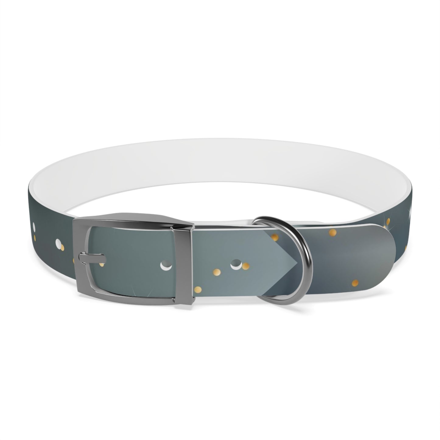 Liquid Metal Personalized Dog Collar