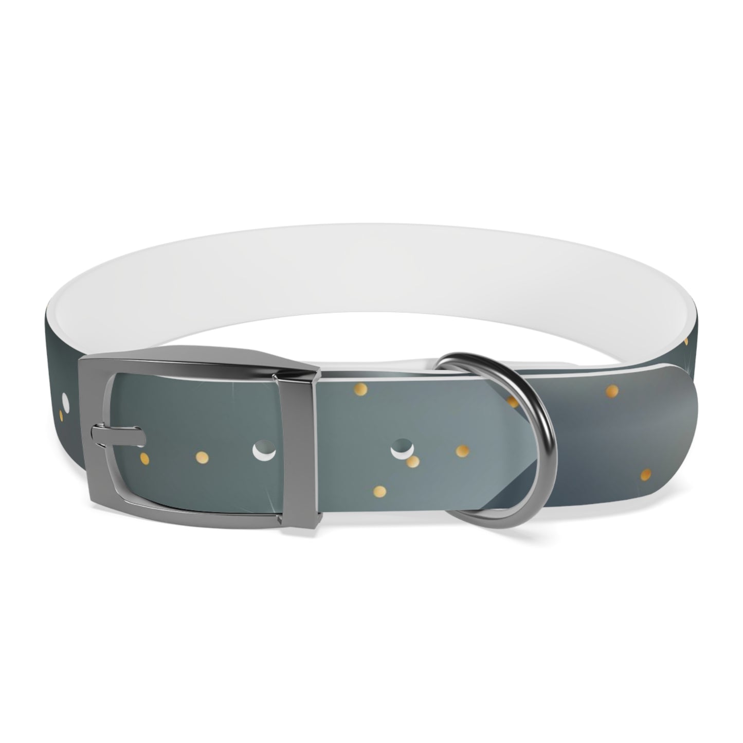 Liquid Metal Personalized Dog Collar