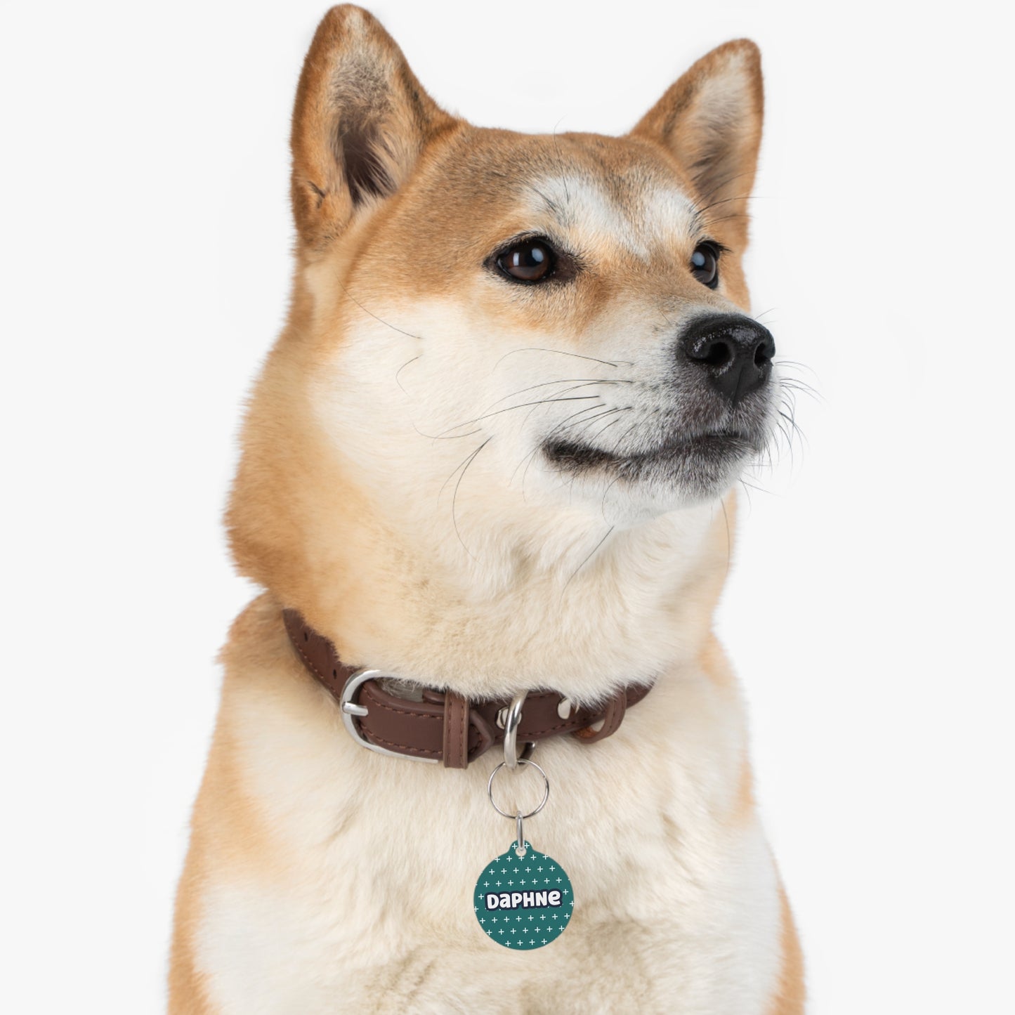 Green Pluses Personalized Dog ID Tag