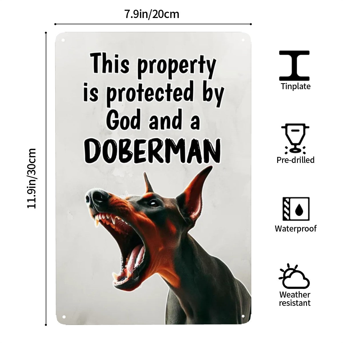 This Property is Protected by God and a Doberman - Metal Wall Art Sign