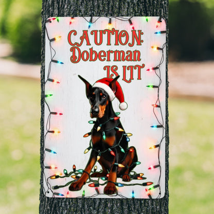 Caution: Doberman Is Lit - Christmas Metal Wall Art Sign