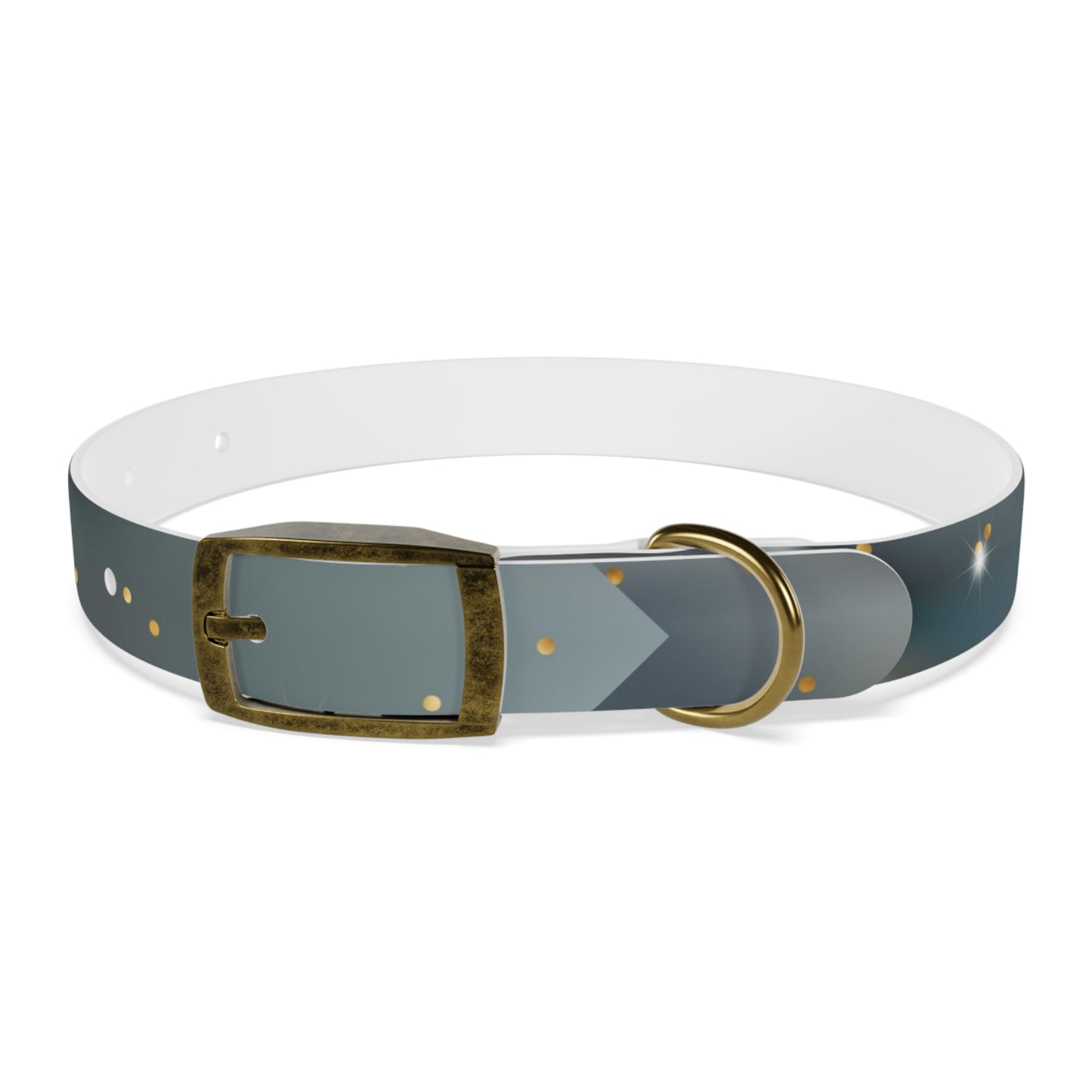 Liquid Metal Personalized Dog Collar