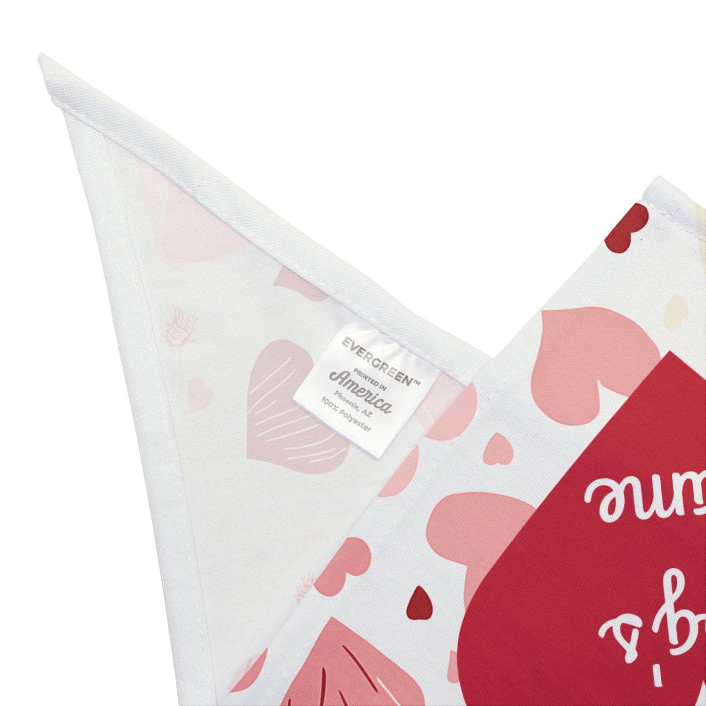 Love Paws Personalized Heart-Themed Dog Bandana