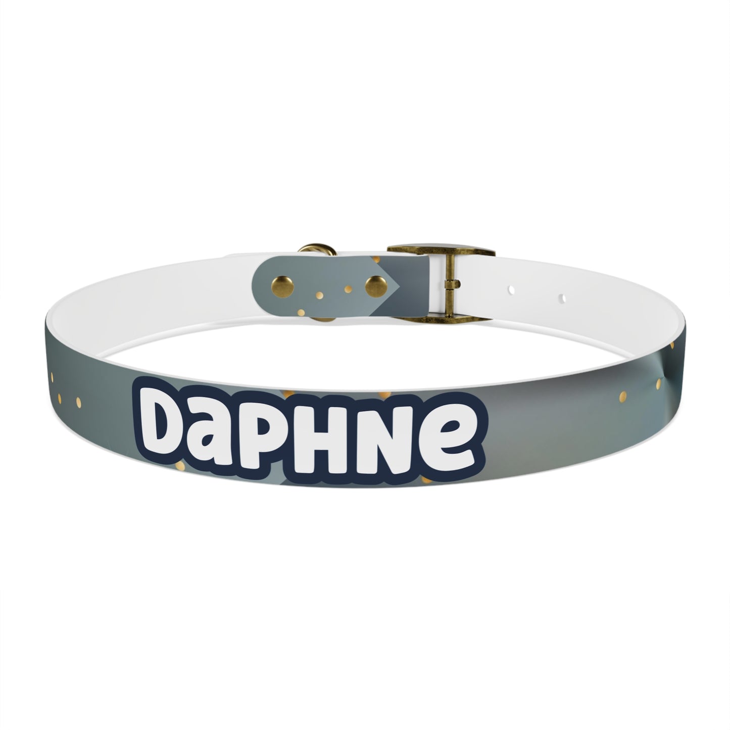 Liquid Metal Personalized Dog Collar