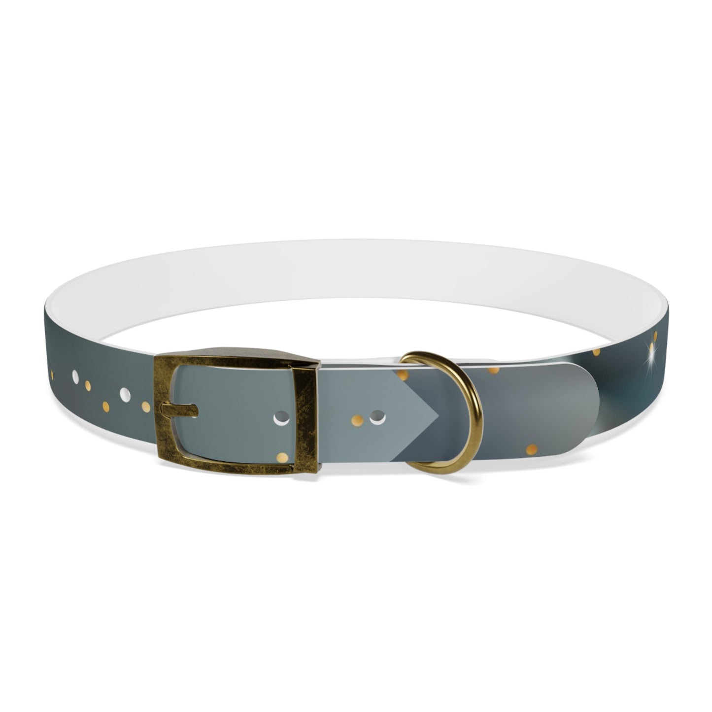 Liquid Metal Personalized Dog Collar