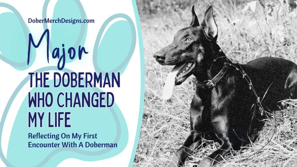 Major: The Doberman Who Changed My Life