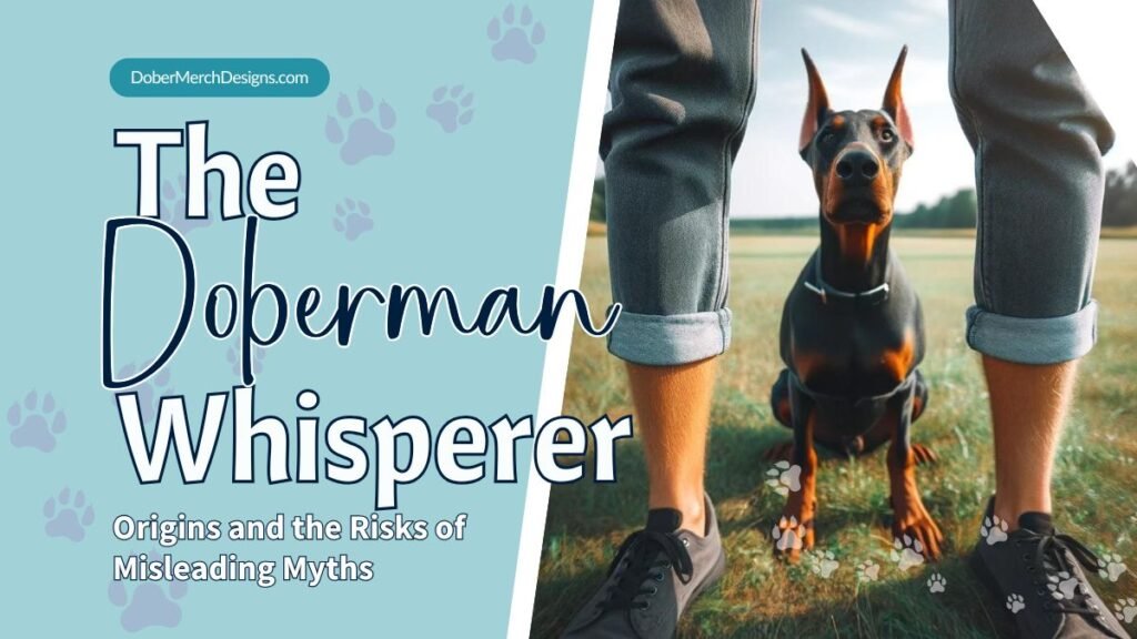 A Doberman sits attentively between a person’s legs in an open field, with overlay text reading 'The Doberman Whisperer: Origins and the Risks of Misleading Myths' from DoberMerch Designs.