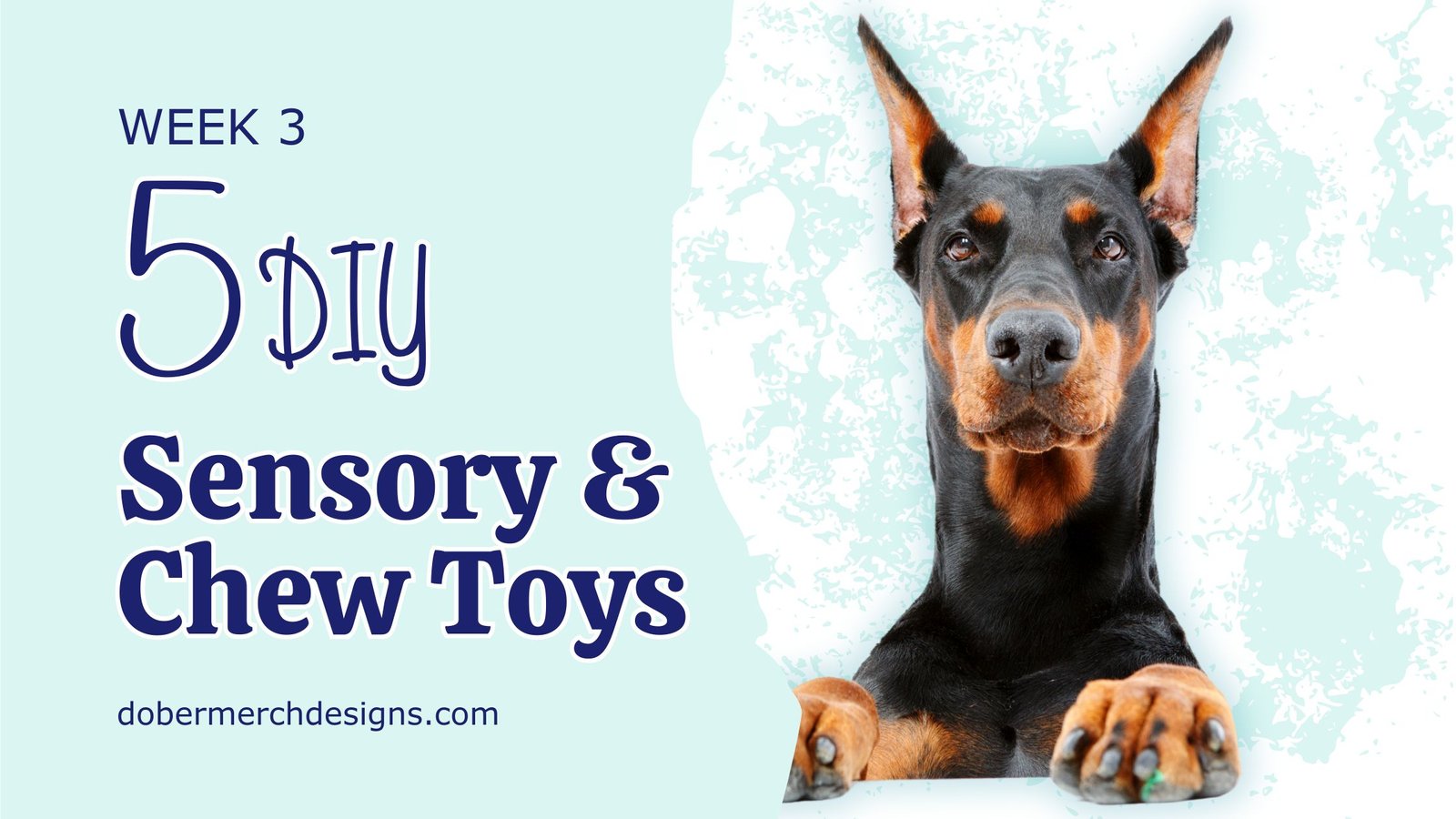 You are currently viewing DIY Dog Toys: Week 3 – Sensory and Chew Toys