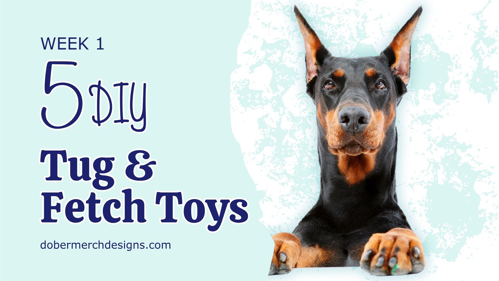You are currently viewing 5 DIY Tug and Fetch Toys for Your Doberman