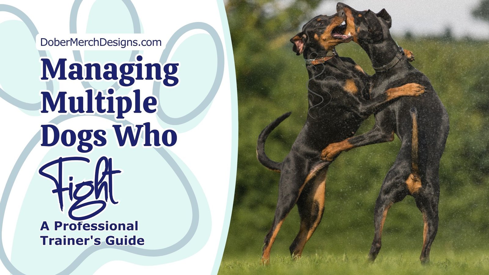 You are currently viewing Managing Multiple Dogs Who Fight: A Professional Trainer’s Guide