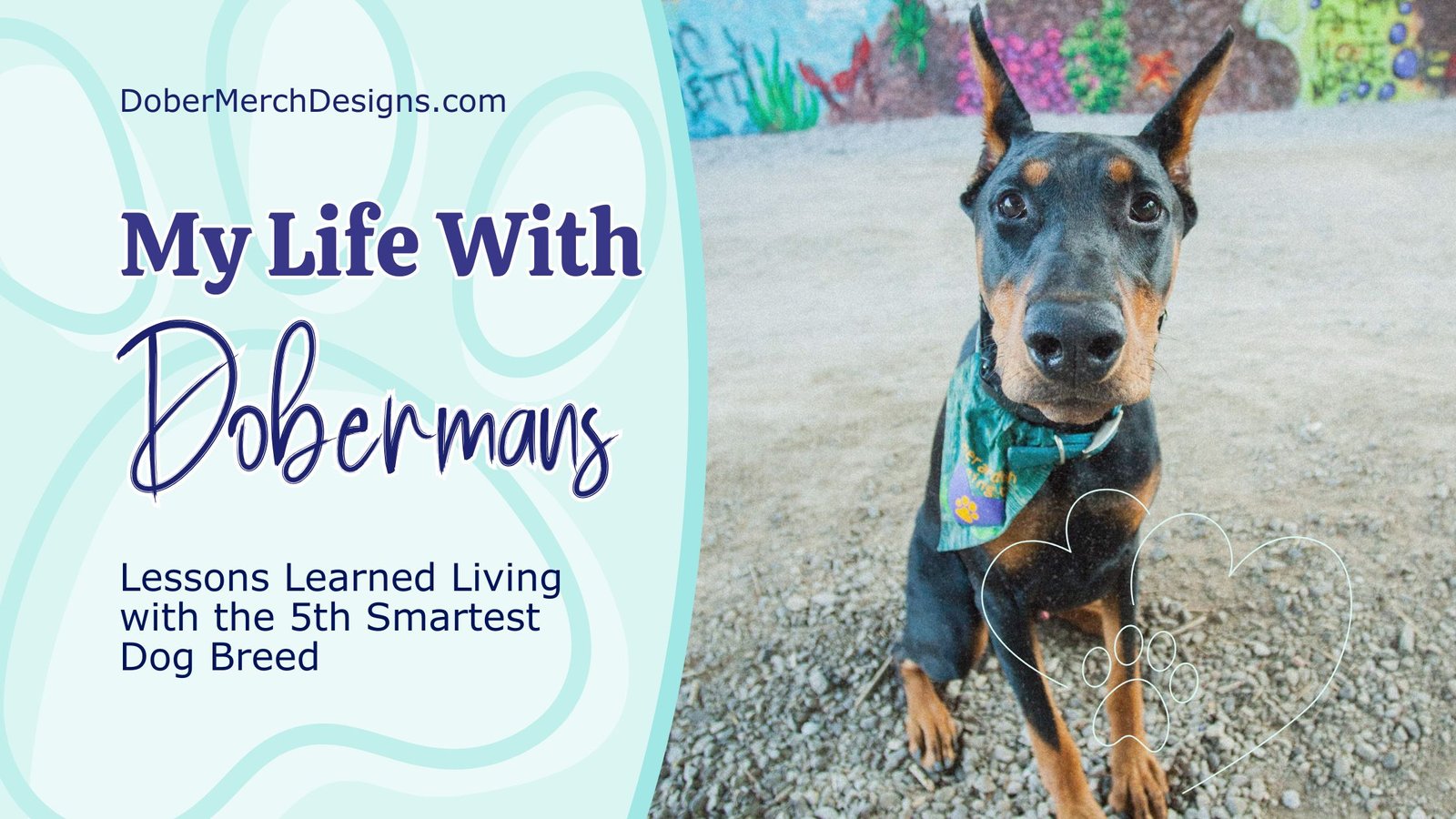 You are currently viewing My Life with Dobermans: Lessons Learned Living with the 5th Smartest Dog Breed