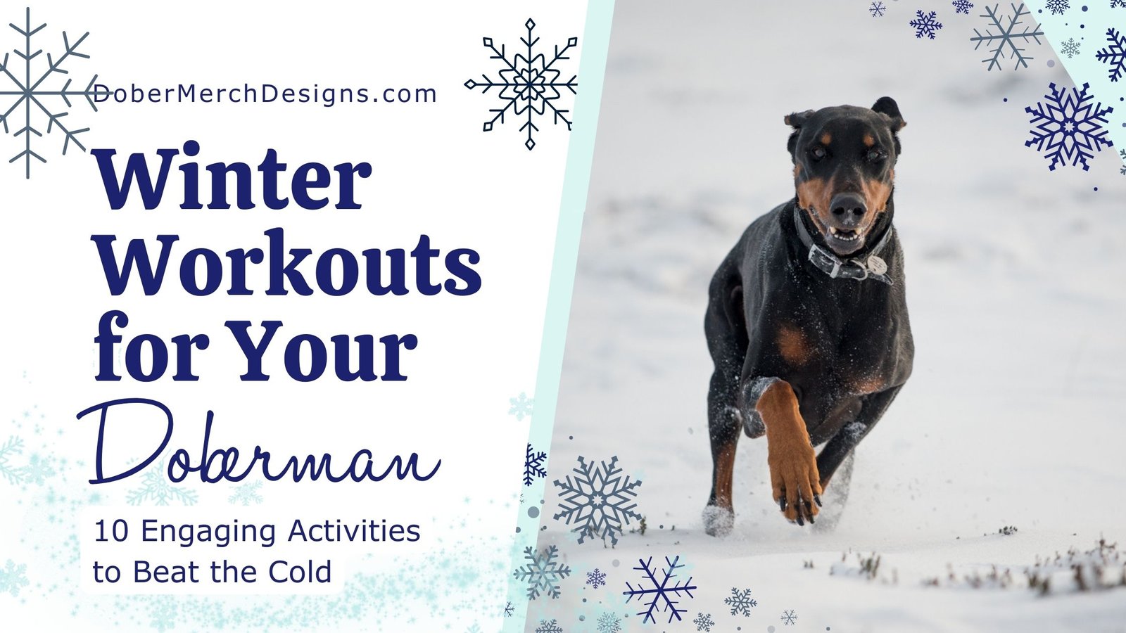 You are currently viewing 10 Exercise Ideas to Keep Your Doberman Active This Winter