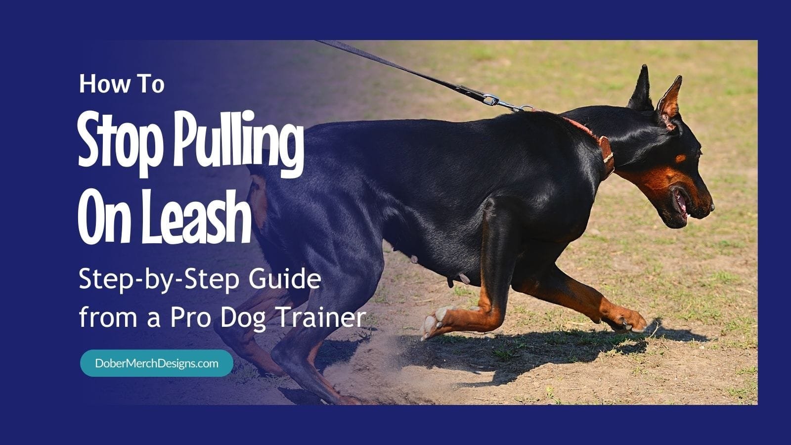 You are currently viewing Rein in the Pull! How the Koehler Method Can Help Your Doberman Walk Like a Pro