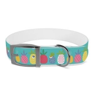 funky pineapples personalized dog collar