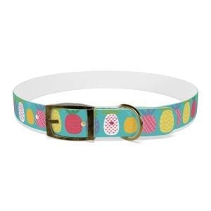 funky pineapples personalized dog collar