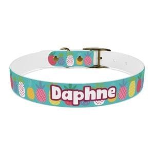 funky pineapples personalized dog collar
