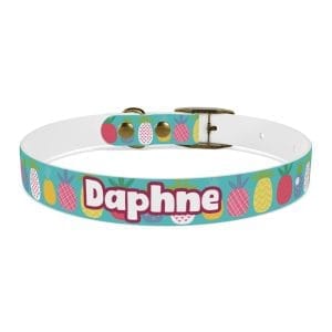 funky pineapples personalized dog collar