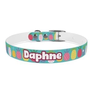 funky pineapples personalized dog collar