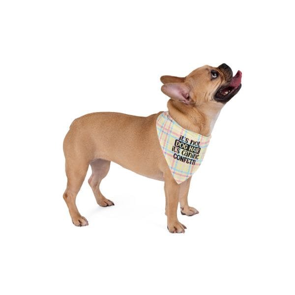 Funny Dog Bandana - Pastel Plaid 'It’s Not Dog Hair, It’s Canine Confetti' Design - Cute Dog Accessories and Gift - Image 4