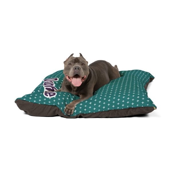 Modern Plus Personalized Pet Dog Bed