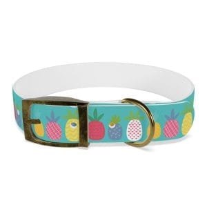 funky pineapples personalized dog collar