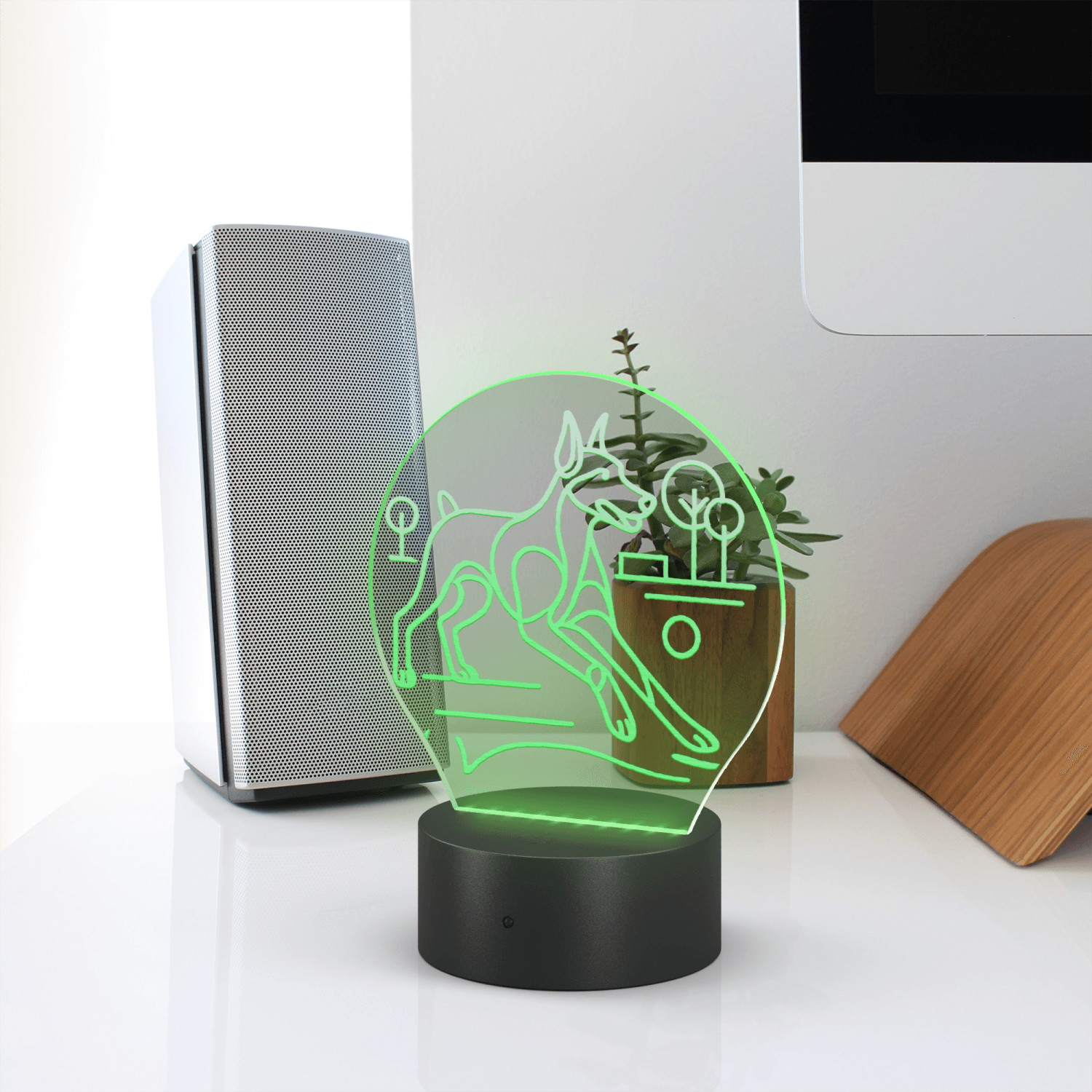 Doberman Playing Ball In A Park - Image 2