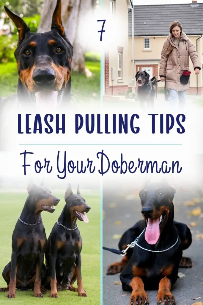 Blog image for Leash Pulling Tips