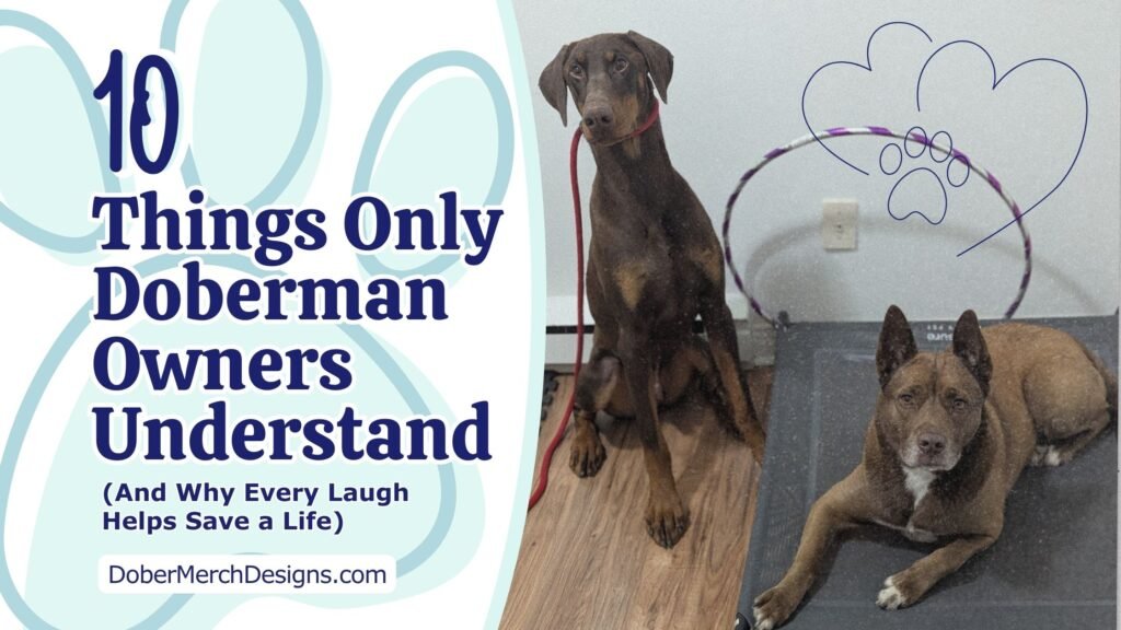 Doberman sitting on a couch with blog title overlay: 10 Things Only Doberman Owners Understand