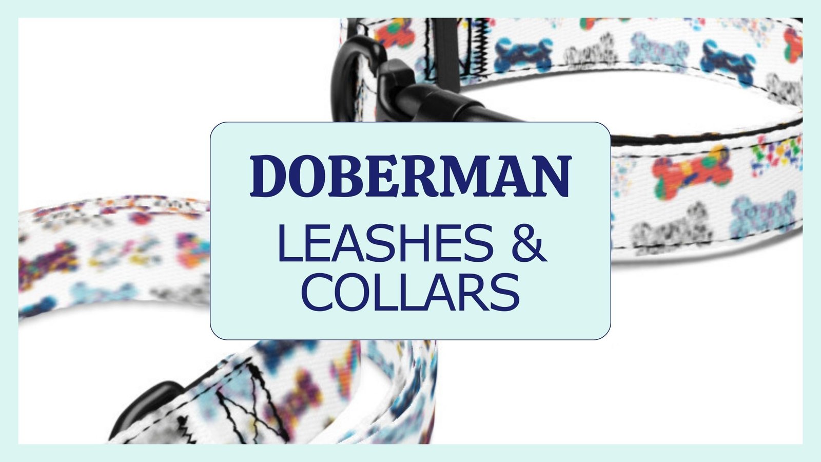 Collars & Leashes