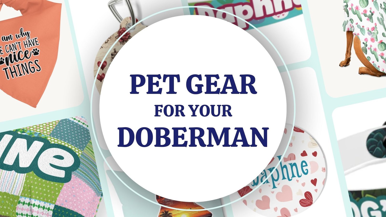 Pet Gear