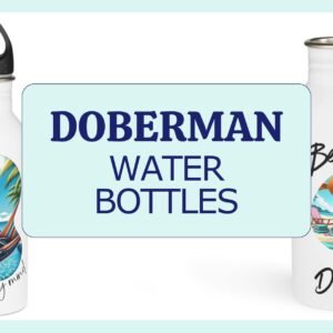 Stainless Steel Water Bottles