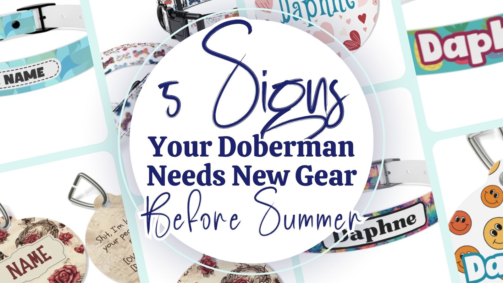 You are currently viewing 5 Signs Your Doberman Needs a New Collar, Leash, or ID Tag Before Summer Hits