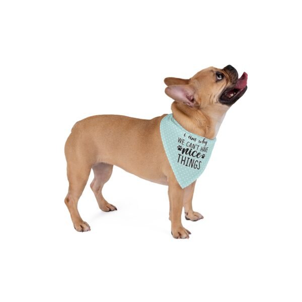 Funny Teal Polka Dot Dog Bandana – “I Am Why We Can’t Have Nice Things” - Image 3