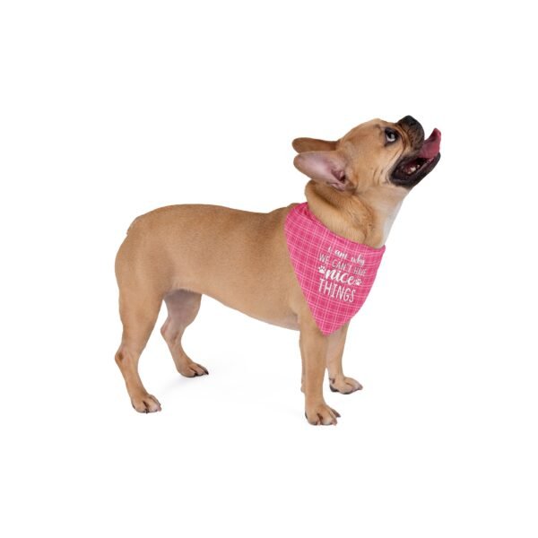 Hot Pink Plaid “I Am Why We Can’t Have Nice Things” Dog Bandana - Image 3