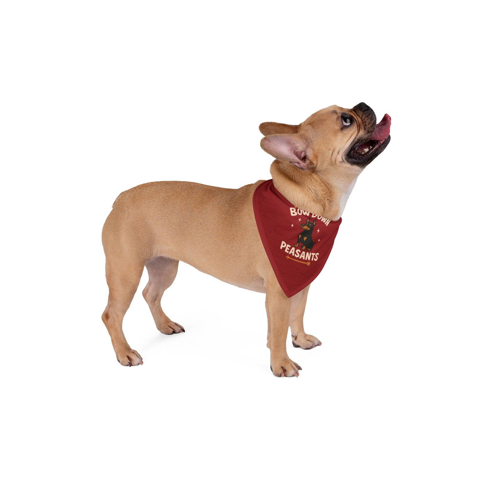 Royal Red Doberman Bandana "Bow Down Peasants" - Image 4